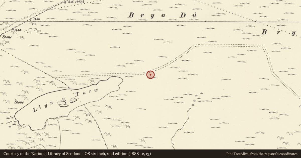Ordnance Survey six-inch map, 2nd edition (1888–1913) covering the location of Llyn y Tarw ritual complex, Aberhafesp, Powys, with a pin at the register's coordinates