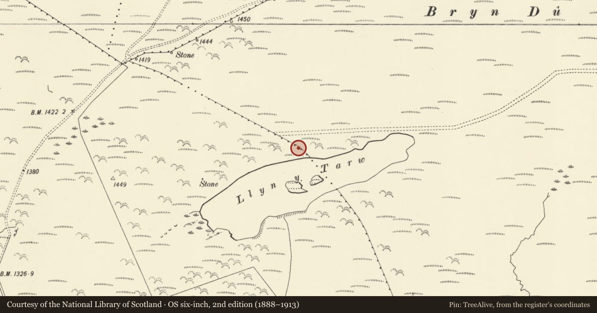 Ordnance Survey six-inch map, 2nd edition (1888–1913) covering the location of Llyn y Tarw Cairn, Aberhafesp, Powys, with a pin at the register's coordinates