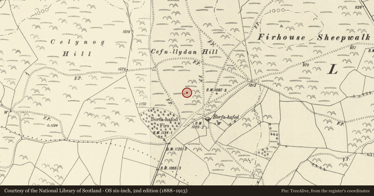 Ordnance Survey six-inch map, 2nd edition (1888–1913) covering the location of Cefn Llydan Circle, Tregynon, Powys, with a pin at the register's coordinates