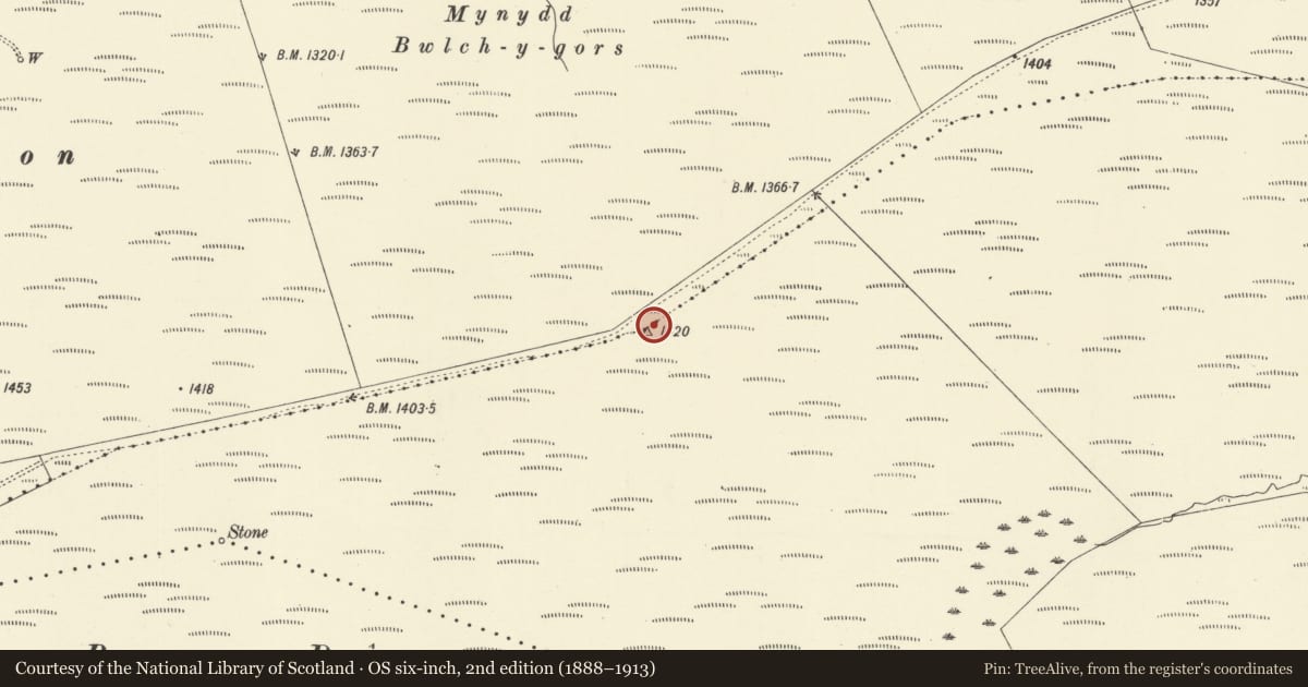 Ordnance Survey six-inch map, 2nd edition (1888–1913) covering the location of Pen y Groes Uchaf Cairn, Aberhafesp, Powys, with a pin at the register's coordinates