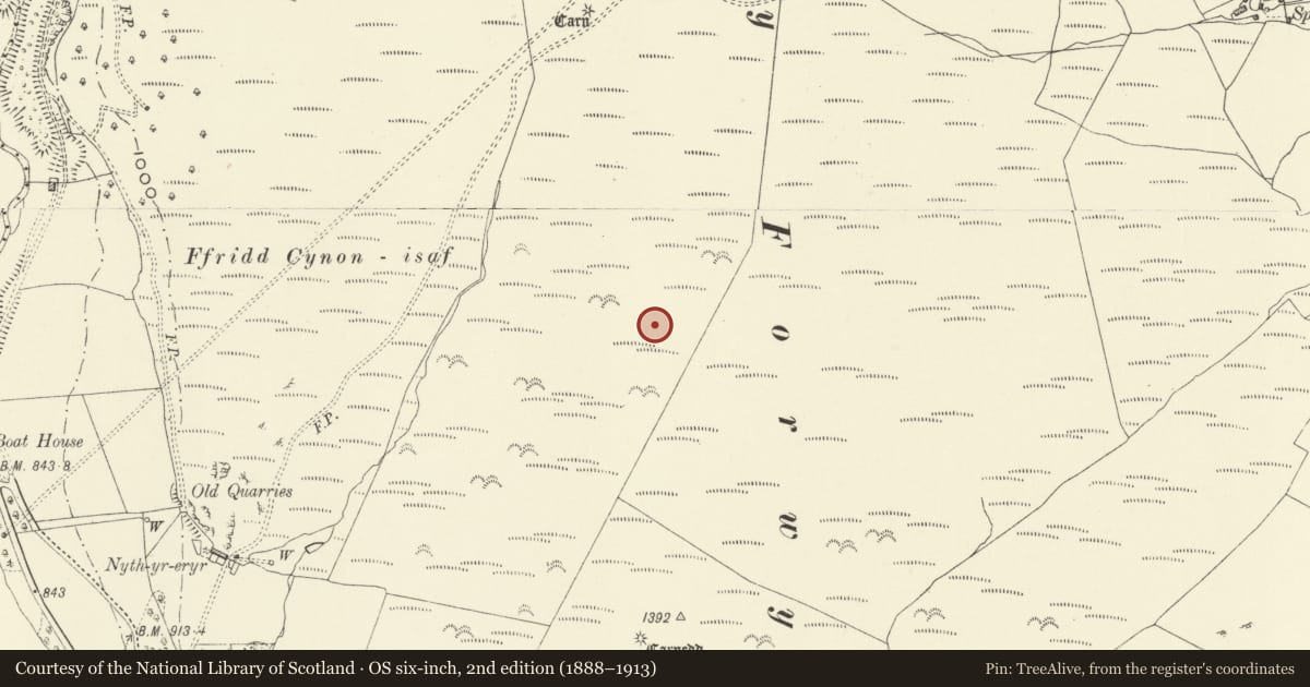 Ordnance Survey six-inch map, 2nd edition (1888–1913) covering the location of Croes y Forwyn cairns, Llanwddyn, Powys, with a pin at the register's coordinates