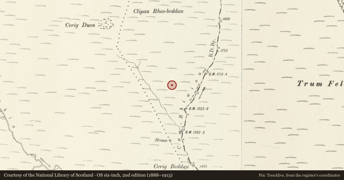 Ordnance Survey six-inch map, 2nd edition (1888–1913) covering the location of Cwm Rhiwiau Stone Circle, Llangynog, Powys, with a pin at the register's coordinates