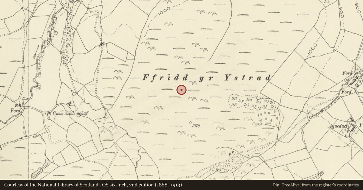Ordnance Survey six-inch map, 2nd edition (1888–1913) covering the location of Ffridd yr Ystrad Cairns, Llanbrynmair, Powys, with a pin at the register's coordinates