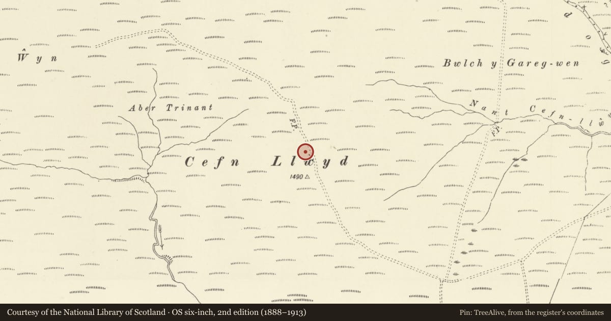 Ordnance Survey six-inch map, 2nd edition (1888–1913) covering the location of Cefn Llwyd Round Barrow and standing stone, Trefeglwys, Powys, with a pin at the register's coordinates