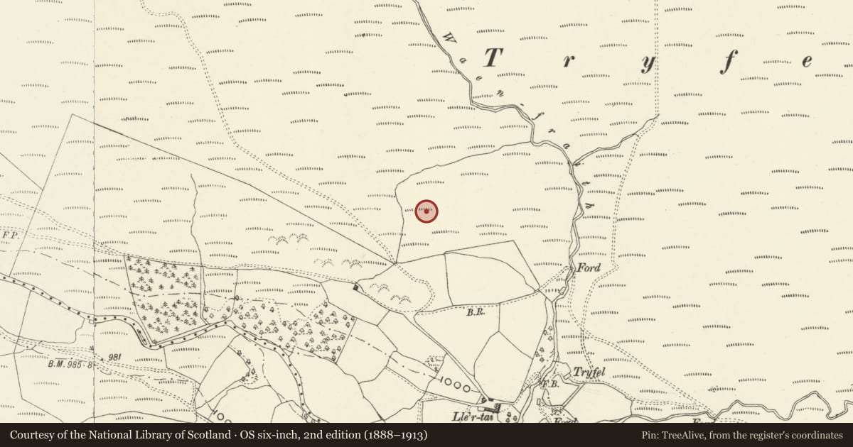 Ordnance Survey six-inch map, 2nd edition (1888–1913) covering the location of Tryfel Cairns and Stone Setting, Banwy, Powys, with a pin at the register's coordinates