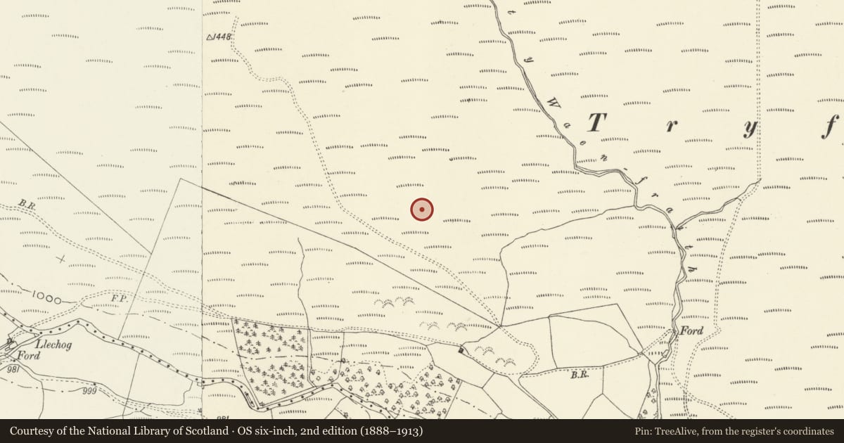 Ordnance Survey six-inch map, 2nd edition (1888–1913) covering the location of Llechwedd Du Round Cairn, Banwy, Powys, with a pin at the register's coordinates