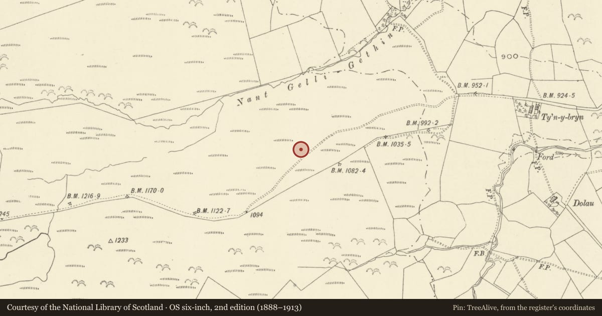 Ordnance Survey six-inch map, 2nd edition (1888–1913) covering the location of Gelli Gethin Round Cairn, Llanfair Caereinion, Powys, with a pin at the register's coordinates