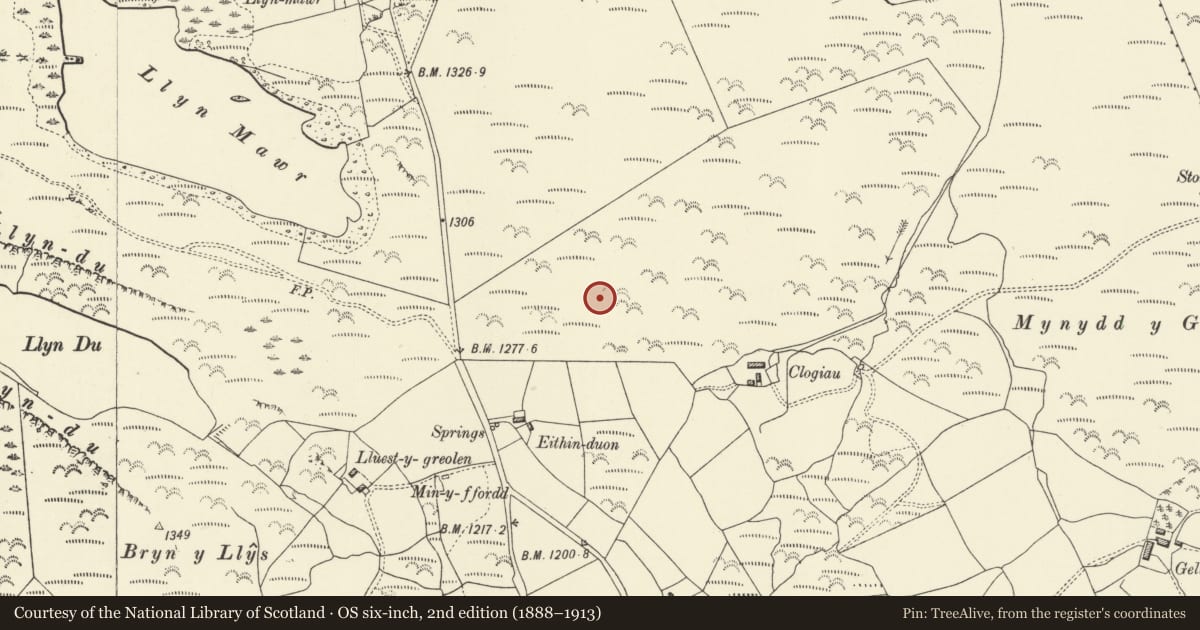 Ordnance Survey six-inch map, 2nd edition (1888–1913) covering the location of Carreg Hir Standing Stone, Caersws, Powys, with a pin at the register's coordinates