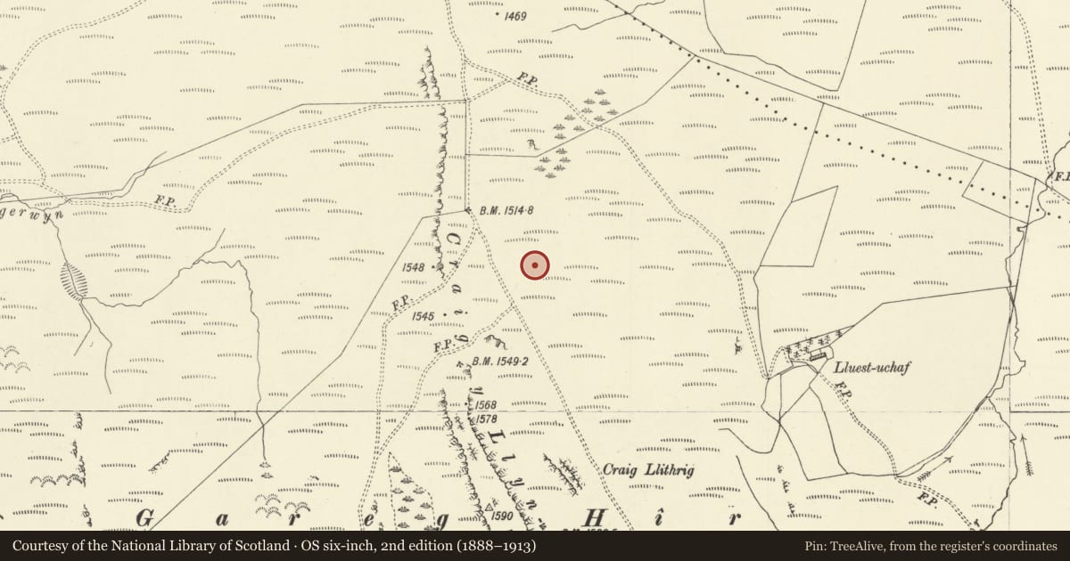 Ordnance Survey six-inch map, 2nd edition (1888–1913) covering the location of Craig y Llyn Mawr Round Cairn, Caersws, Powys, with a pin at the register's coordinates
