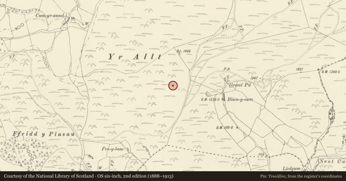 Ordnance Survey six-inch map, 2nd edition (1888–1913) covering the location of Blaen y Cwm Ring Cairn, Carno, Powys, with a pin at the register's coordinates