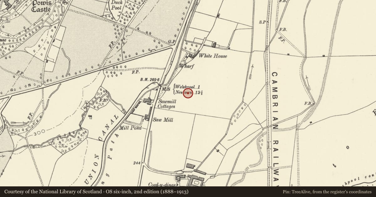 Ordnance Survey six-inch map, 2nd edition (1888–1913) covering the location of Coed y Dinas Round Barrow, Welshpool, Powys, with a pin at the register's coordinates
