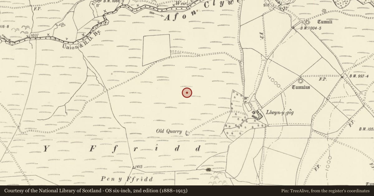 Ordnance Survey six-inch map, 2nd edition (1888–1913) covering the location of Y Ffridd Round Barrow, Trefeglwys, Powys, with a pin at the register's coordinates