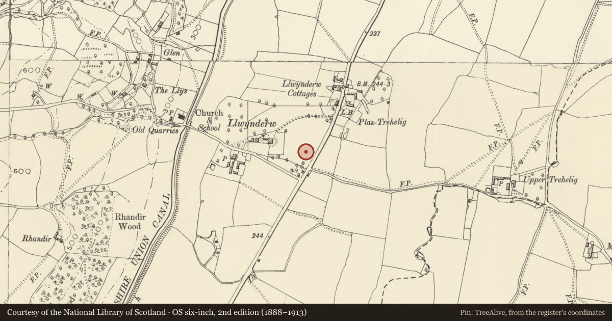 Ordnance Survey six-inch map, 2nd edition (1888–1913) covering the location of Llwynderw Round Barrow, Welshpool, Powys, with a pin at the register's coordinates
