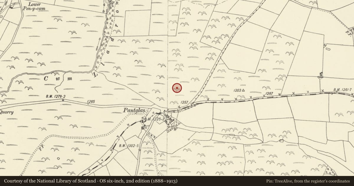 Ordnance Survey six-inch map, 2nd edition (1888–1913) covering the location of Mellington Hill Round Barrow, Welshpool, Powys, with a pin at the register's coordinates