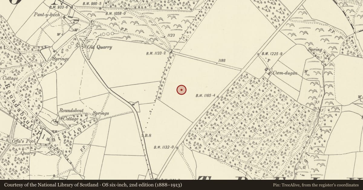 Ordnance Survey six-inch map, 2nd edition (1888–1913) covering the location of Trelystan Church House Round Barrows, Forden with Leighton and Trelystan, Powys, with a pin at the register's coordinates