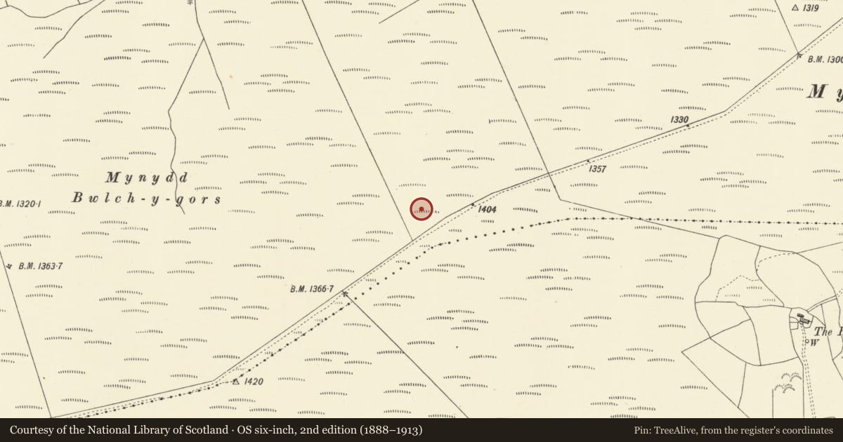 Ordnance Survey six-inch map, 2nd edition (1888–1913) covering the location of Pen y Groes Isaf Round Cairn, Dwyriw, Powys, with a pin at the register's coordinates