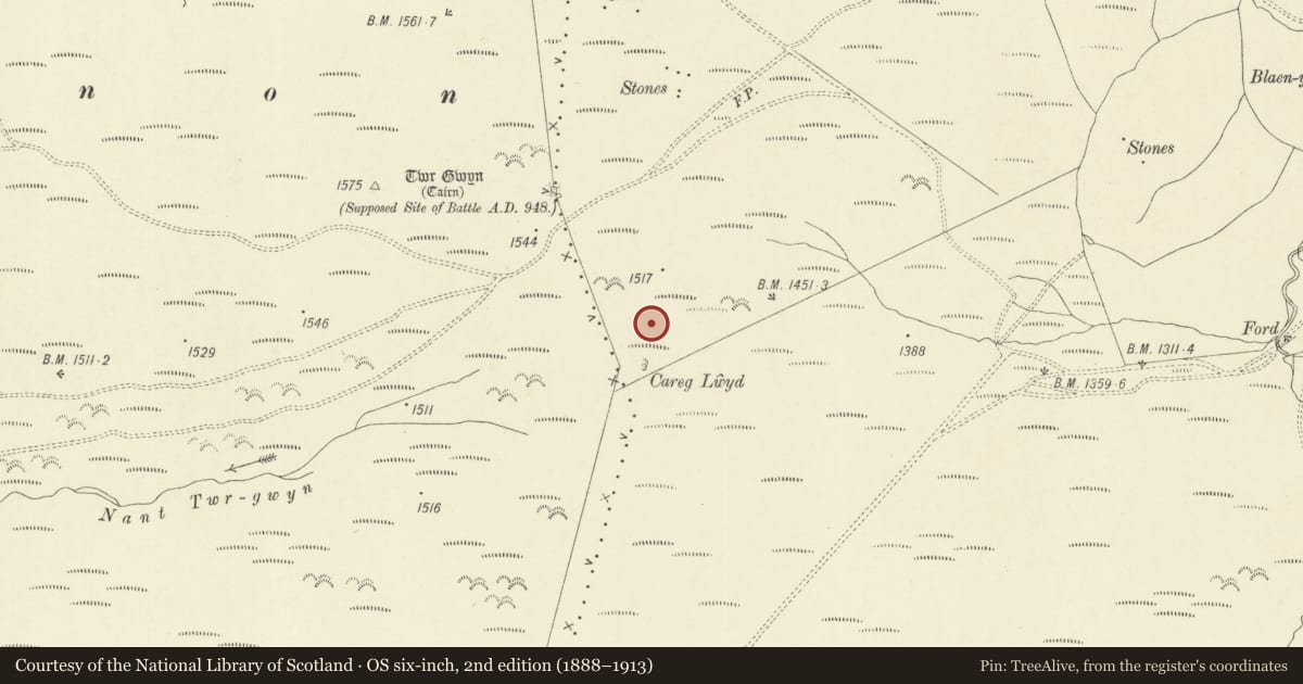 Ordnance Survey six-inch map, 2nd edition (1888–1913) covering the location of Carreg Lwyd Ritual Complex, Carno, Powys, with a pin at the register's coordinates