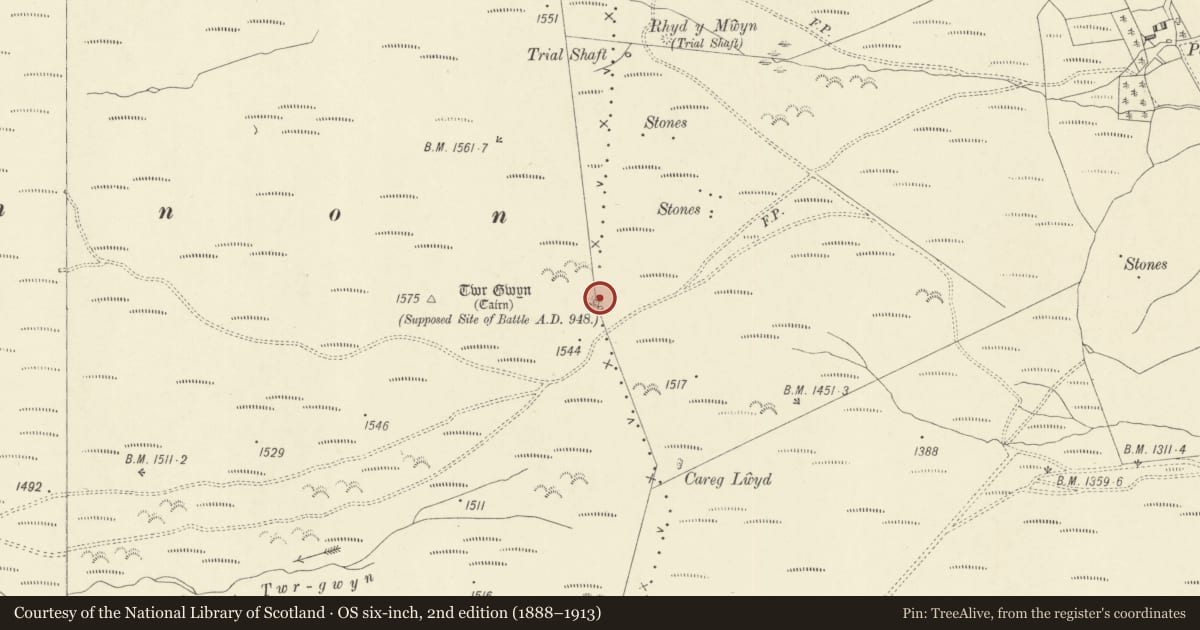 Ordnance Survey six-inch map, 2nd edition (1888–1913) covering the location of Twr Gwyn Mawr Round Cairn, Llanbrynmair, Powys, with a pin at the register's coordinates