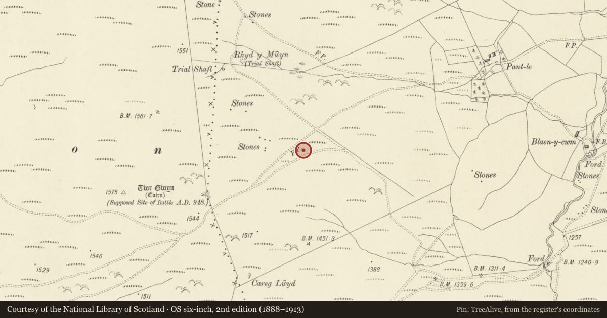 Ordnance Survey six-inch map, 2nd edition (1888–1913) covering the location of Blaen y Cwm Round Cairns, Carno, Powys, with a pin at the register's coordinates