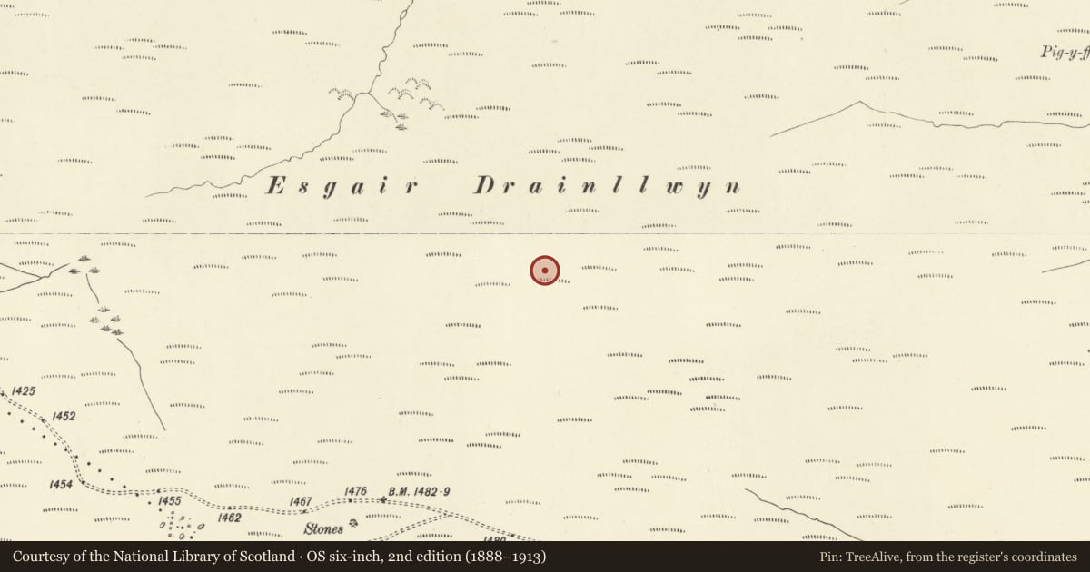 Ordnance Survey six-inch map, 2nd edition (1888–1913) covering the location of Esgair Draenllwyn Round Cairn II, Carno, Powys, with a pin at the register's coordinates