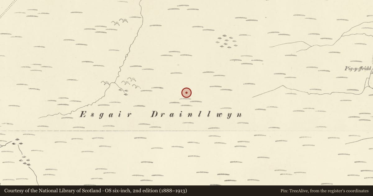 Ordnance Survey six-inch map, 2nd edition (1888–1913) covering the location of Esgair Draenllwyn Stone Setting, Carno, Powys, with a pin at the register's coordinates