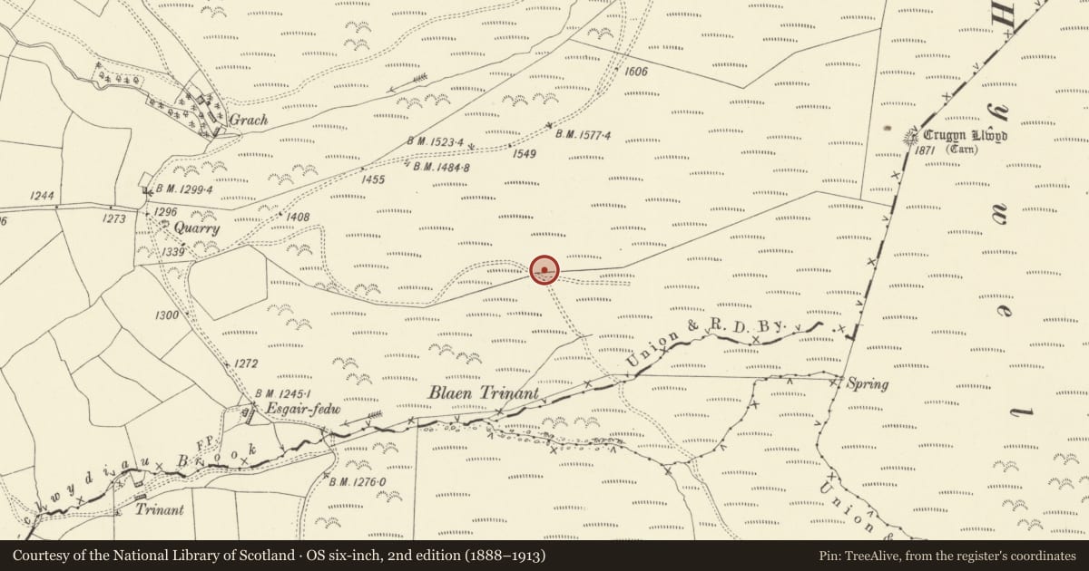 Ordnance Survey six-inch map, 2nd edition (1888–1913) covering the location of Bryn Hafod Standing Stone, Llandinam, Powys, with a pin at the register's coordinates