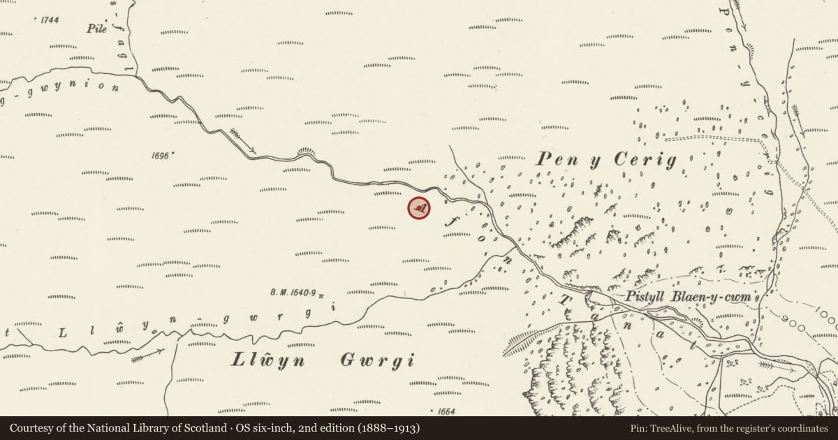Ordnance Survey six-inch map, 2nd edition (1888–1913) covering the location of Pen Cerrig Standing Stone, Llangynog, Powys, with a pin at the register's coordinates