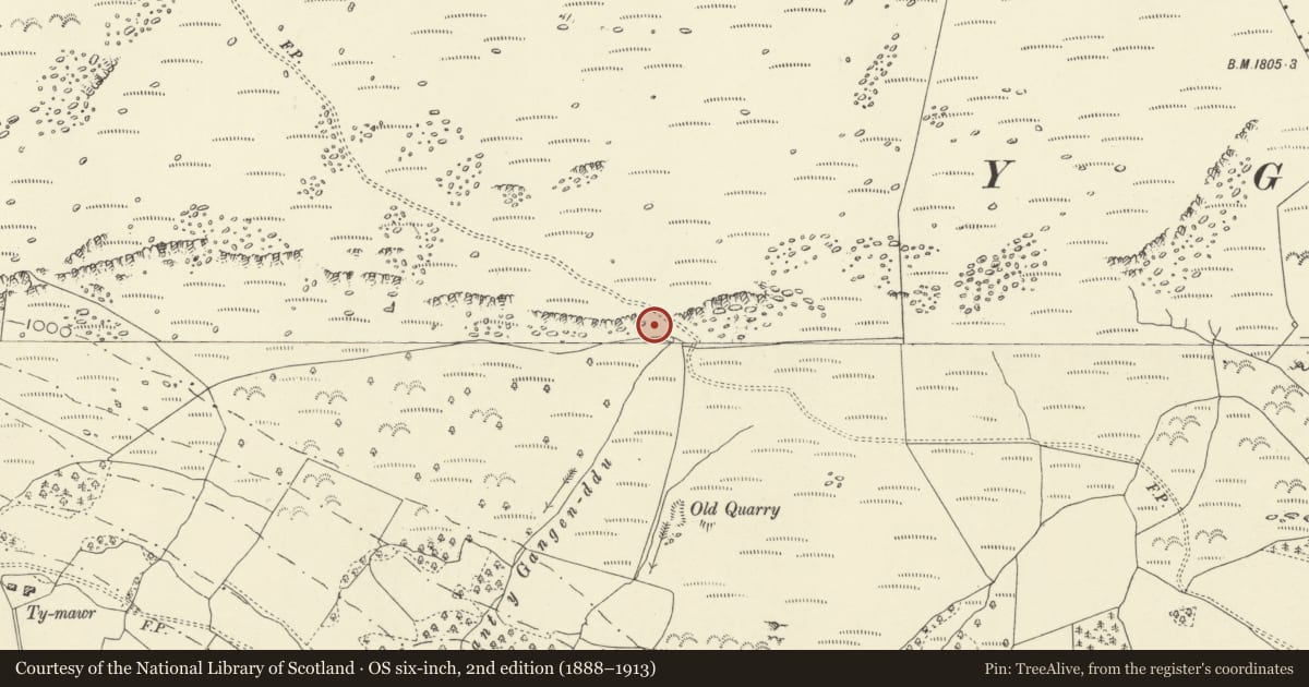 Ordnance Survey six-inch map, 2nd edition (1888–1913) covering the location of Nant y Gangen Ddu Round Cairns, Llanrhaeadr-ym-Mochnant, Powys, with a pin at the register's coordinates