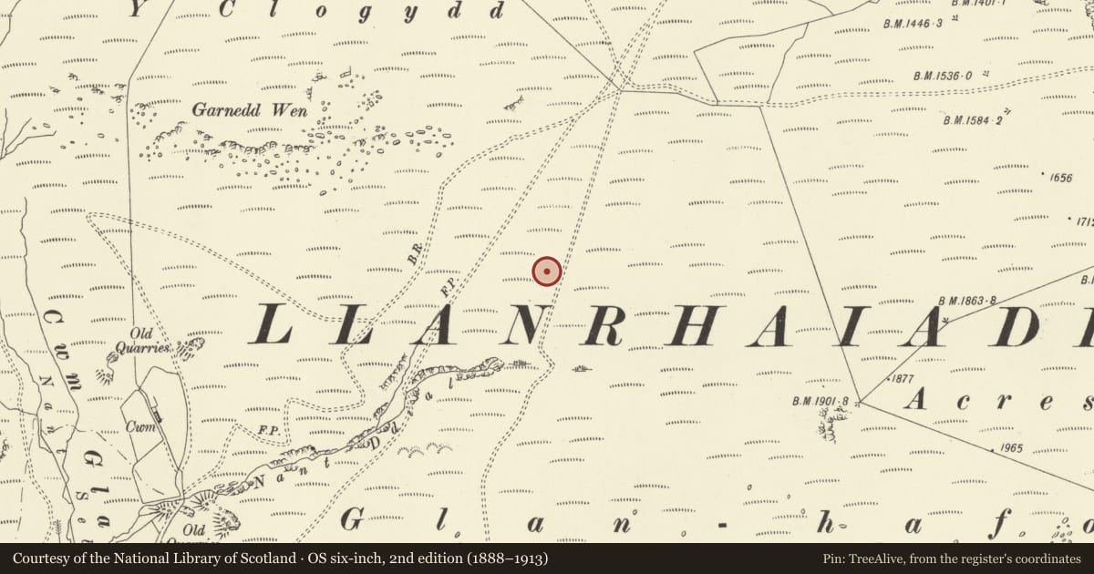 Ordnance Survey six-inch map, 2nd edition (1888–1913) covering the location of Glan Hafon Ring Cairn, Llanrhaeadr-ym-Mochnant, Powys, with a pin at the register's coordinates