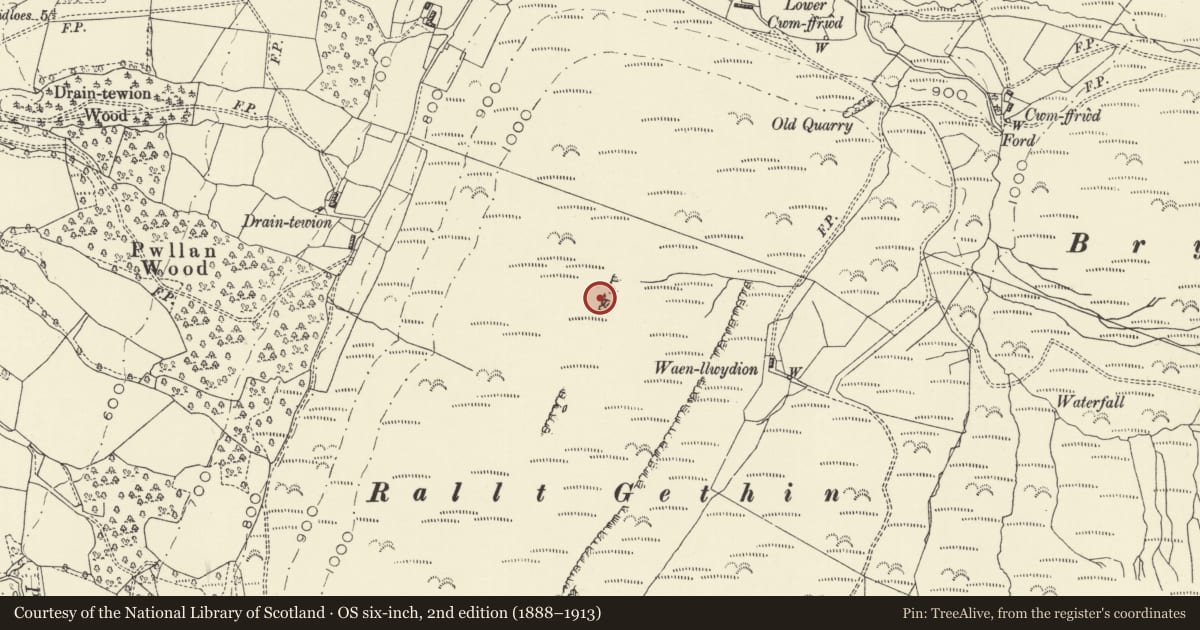 Ordnance Survey six-inch map, 2nd edition (1888–1913) covering the location of Allt Gethin Round Cairn, Llandinam, Powys, with a pin at the register's coordinates