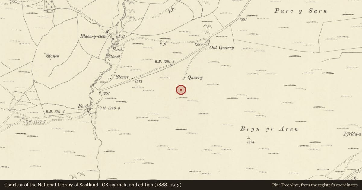 Ordnance Survey six-inch map, 2nd edition (1888–1913) covering the location of Bryn yr Aran Ring Cairn and Ritual Platform, Carno, Powys, with a pin at the register's coordinates