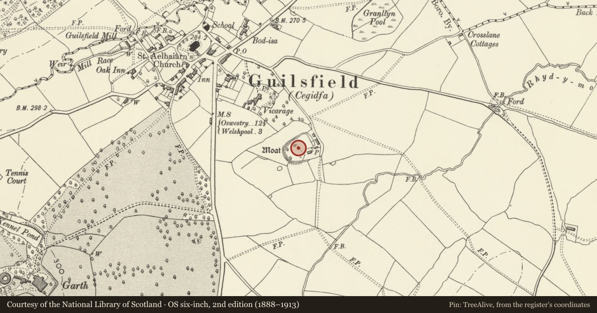 Ordnance Survey six-inch map, 2nd edition (1888–1913) covering the location of Guilsfield Moated Site, Powys, with a pin at the register's coordinates