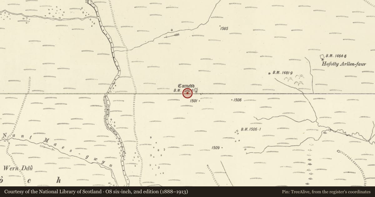 Ordnance Survey six-inch map, 2nd edition (1888–1913) covering the location of Cedig Cairn, Llanwddyn, Powys, with a pin at the register's coordinates