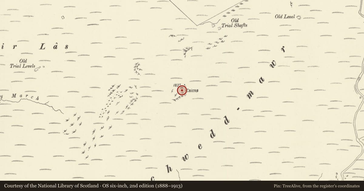 Ordnance Survey six-inch map, 2nd edition (1888–1913) covering the location of Banc Llechwedd-mawr round cairns, Cadfarch, Powys, with a pin at the register's coordinates