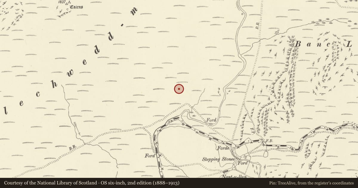 Ordnance Survey six-inch map, 2nd edition (1888–1913) covering the location of Afon Hyddgen stone row, Cadfarch, Powys, with a pin at the register's coordinates