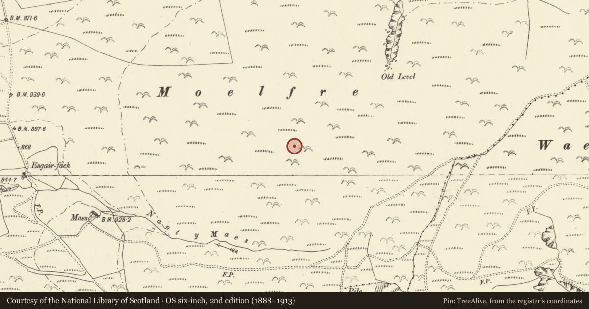 Ordnance Survey six-inch map, 2nd edition (1888–1913) covering the location of Moelfre round barrow, Glantwymyn, Powys, with a pin at the register's coordinates