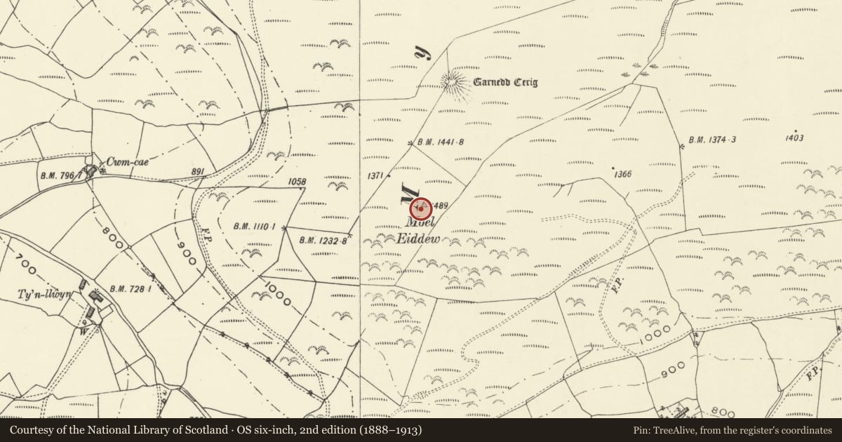 Ordnance Survey six-inch map, 2nd edition (1888–1913) covering the location of Moel Eiddew platform cairn, Glantwymyn, Powys, with a pin at the register's coordinates