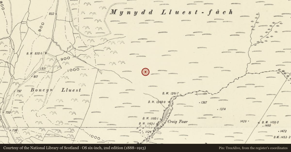 Ordnance Survey six-inch map, 2nd edition (1888–1913) covering the location of Mynydd Lluest Fach barrow cemetery, Llanbrynmair, Powys, with a pin at the register's coordinates