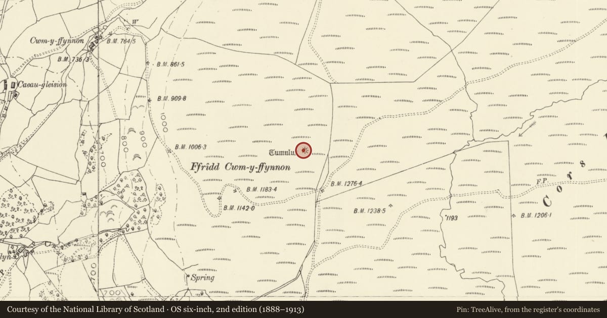Ordnance Survey six-inch map, 2nd edition (1888–1913) covering the location of Ffridd Cwm y Ffynnon round barrow, Llanbrynmair, Powys, with a pin at the register's coordinates
