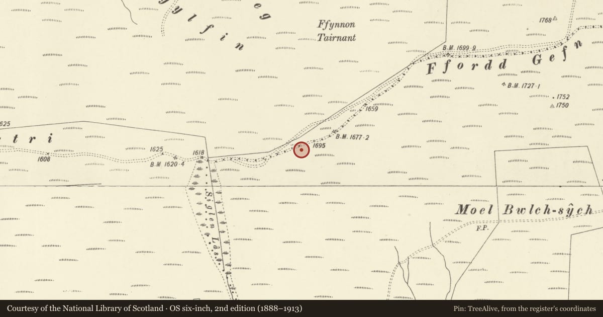 Ordnance Survey six-inch map, 2nd edition (1888–1913) covering the location of Bwlch Sych round cairn, Pen-y-bont-Fawr, Powys, with a pin at the register's coordinates