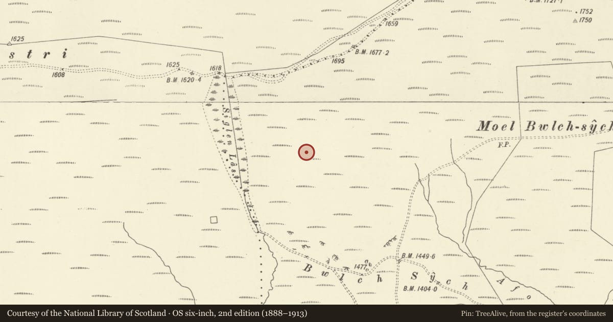 Ordnance Survey six-inch map, 2nd edition (1888–1913) covering the location of Siglem Las conjoined round cairns, Pen-y-bont-Fawr, Powys, with a pin at the register's coordinates
