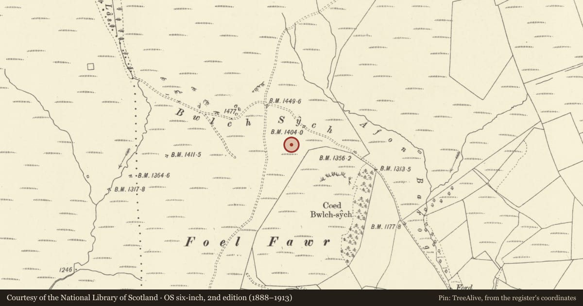 Ordnance Survey six-inch map, 2nd edition (1888–1913) covering the location of Carnedd Cerrig kerb cairn, Pen-y-bont-Fawr, Powys, with a pin at the register's coordinates