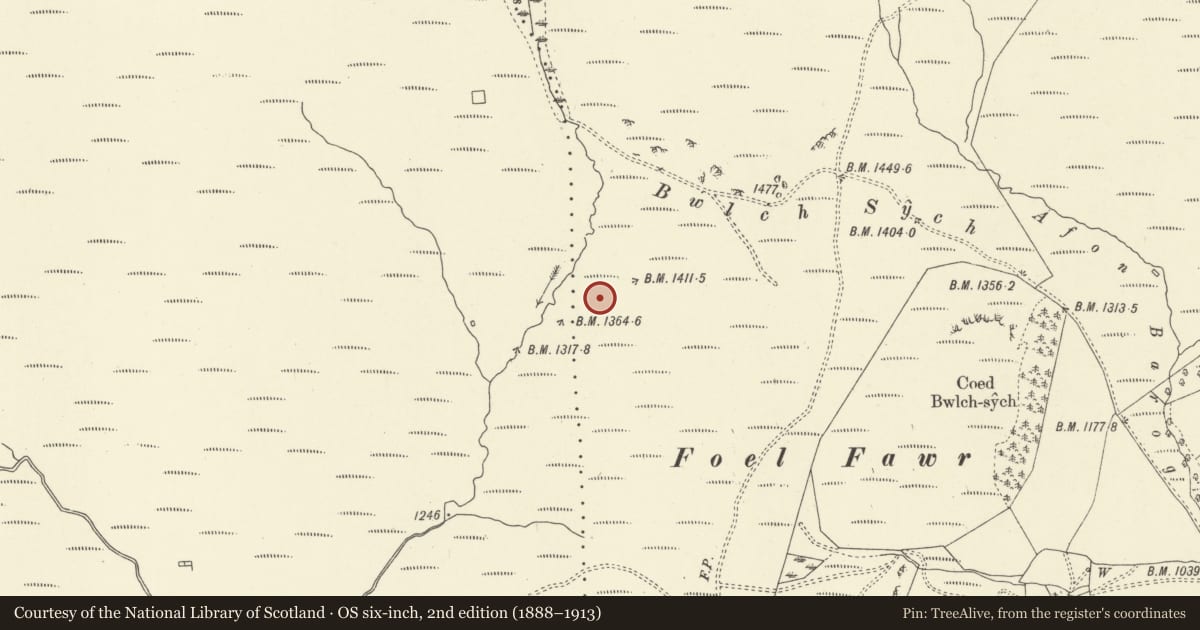 Ordnance Survey six-inch map, 2nd edition (1888–1913) covering the location of Afon y Dolau Gwynion kerb cairn, Pen-y-bont-Fawr, Powys, with a pin at the register's coordinates