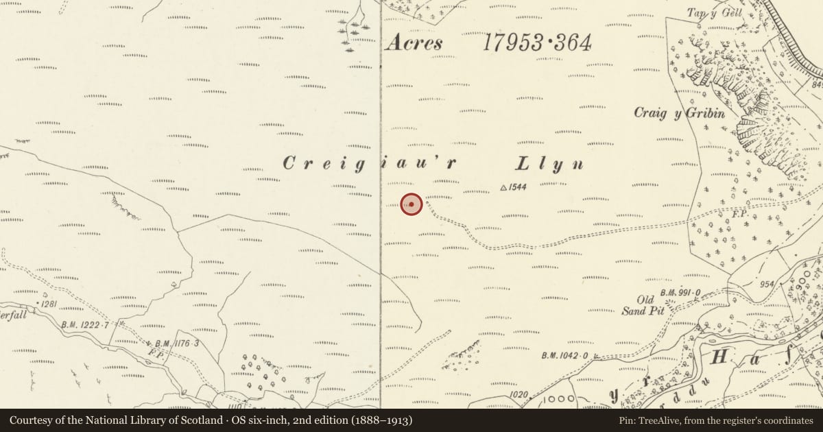 Ordnance Survey six-inch map, 2nd edition (1888–1913) covering the location of Creigiau'r Llyn cairn cemetery, Llanwddyn, Powys, with a pin at the register's coordinates