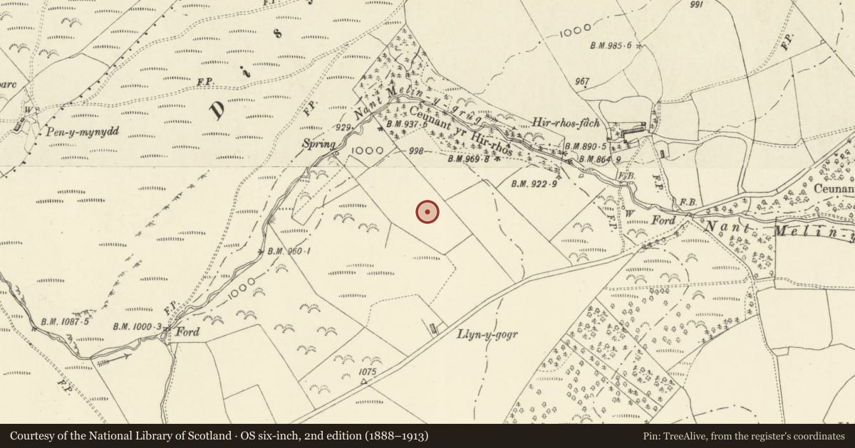 Ordnance Survey six-inch map, 2nd edition (1888–1913) covering the location of Mynydd Waun Fawr Roman road, Llanfair Caereinion, Powys, with a pin at the register's coordinates