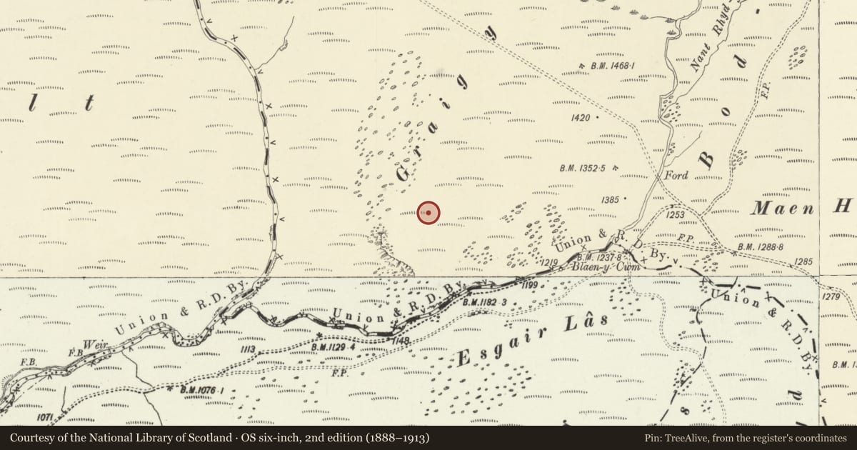 Ordnance Survey six-inch map, 2nd edition (1888–1913) covering the location of Craig y Lluest cairn cemetery, Llangurig, Powys, with a pin at the register's coordinates