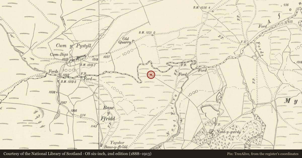 Ordnance Survey six-inch map, 2nd edition (1888–1913) covering the location of Cwmbiga long cairn, Llanidloes Without, Powys, with a pin at the register's coordinates