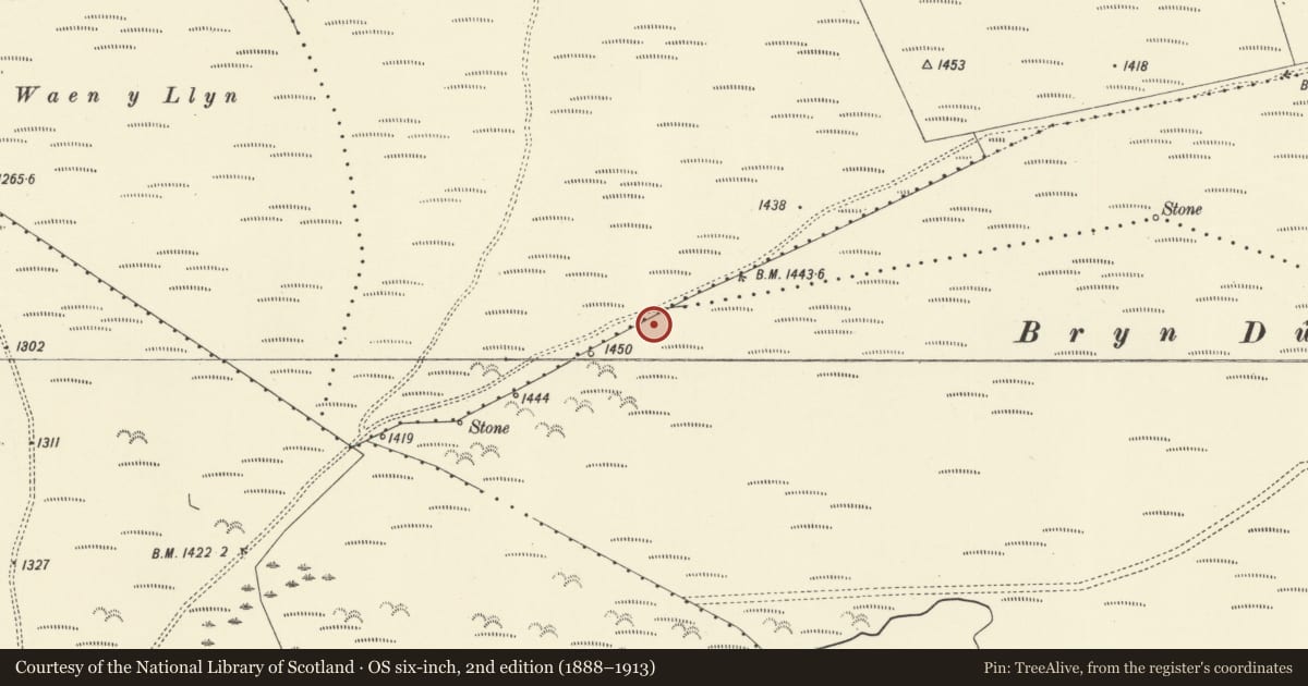Ordnance Survey six-inch map, 2nd edition (1888–1913) covering the location of Bryn Du hut circle, Aberhafesp, Powys, with a pin at the register's coordinates