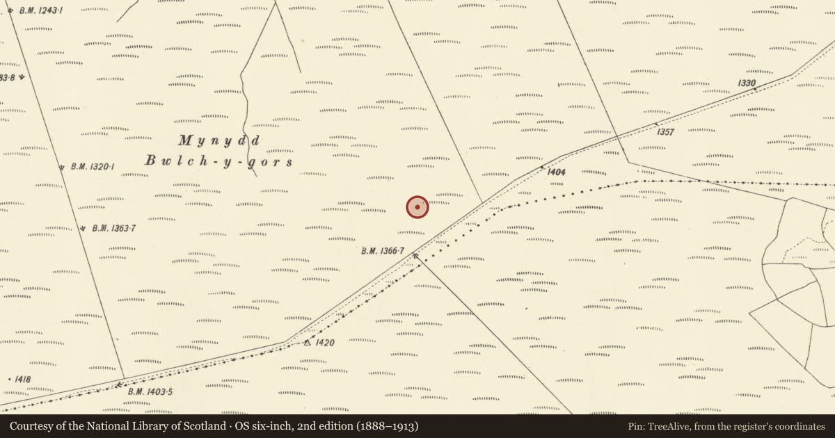Ordnance Survey six-inch map, 2nd edition (1888–1913) covering the location of Mynydd Bwlch-y-gors standing stone, Dwyriw, Powys, with a pin at the register's coordinates