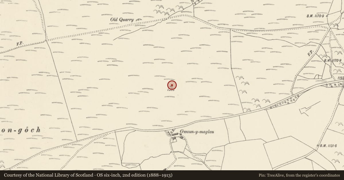 Ordnance Survey six-inch map, 2nd edition (1888–1913) covering the location of Mynydd y Gribin kerb cairn, Dwyriw, Powys, with a pin at the register's coordinates